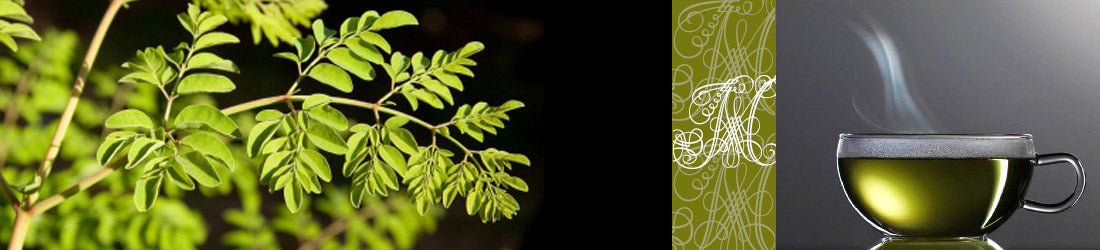 Moringa Olifera Teas