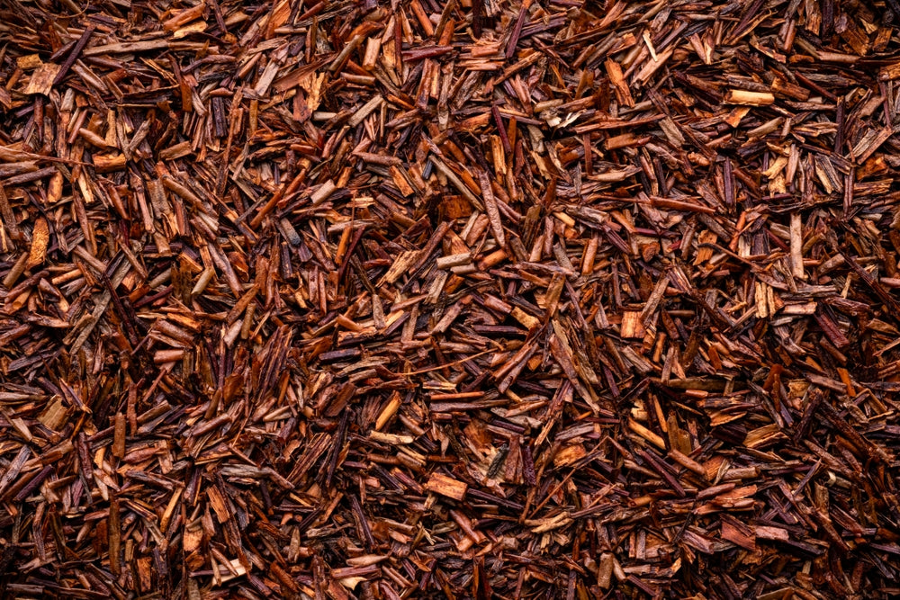 Organic Rooibos Tea